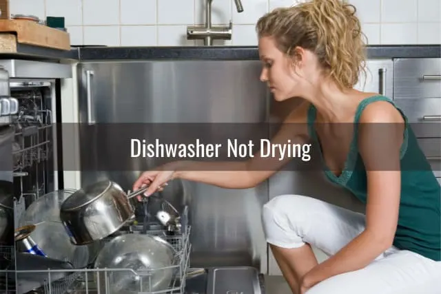 Woman putting plates in the dishwasher