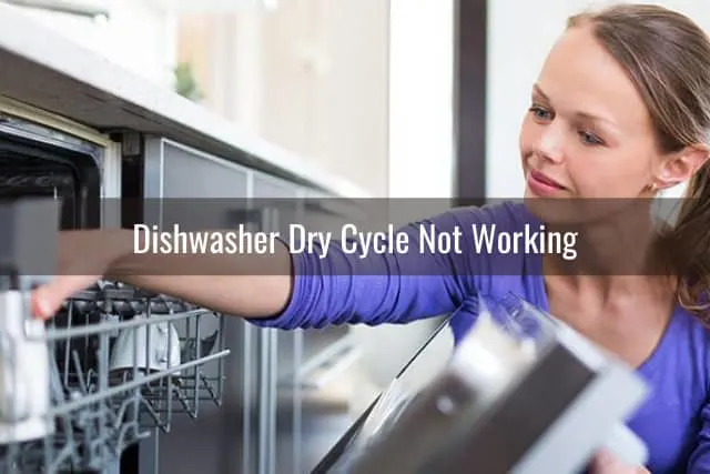 Woman putting plates in the dishwasher