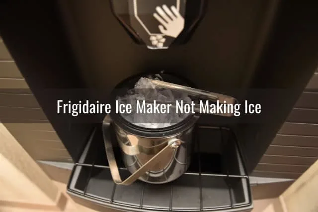 Putting inside the ice in the bowl