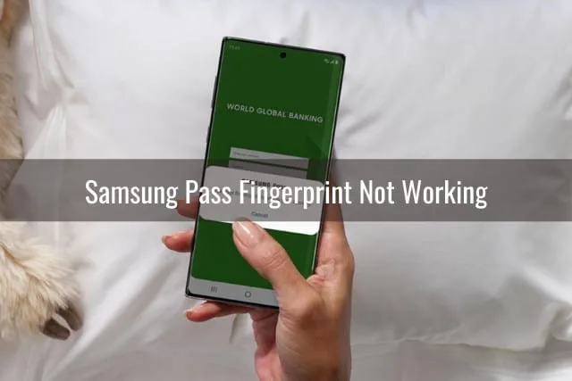 Holding a samsung phone