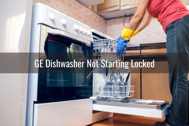 Woman putting plates in the dishwasher