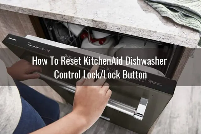 Checking the dishwasher