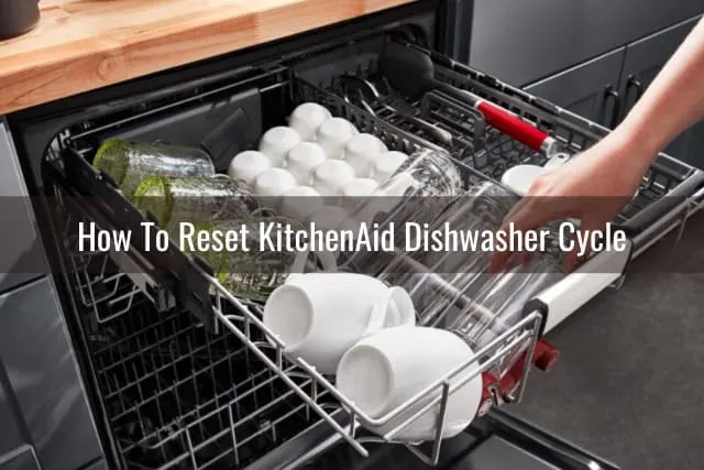 Putting plates in dishwasher