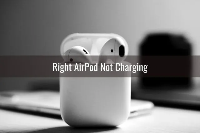 Airpod case with lid open