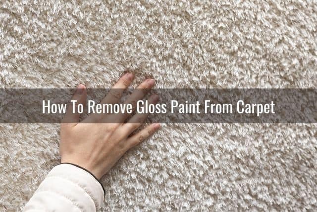 How To Remove Paint From Carpet - Ready To DIY