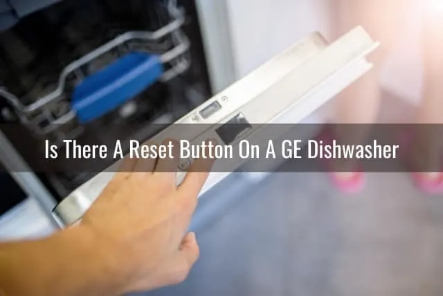 Opening the dishwasher