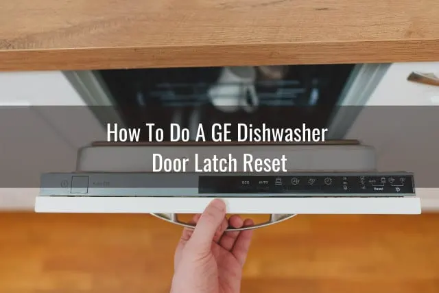 Opening the dishwasher
