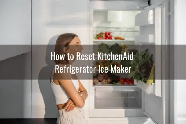 Woman checking the refrigerator