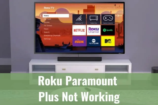 Flatscreen tv in the living room