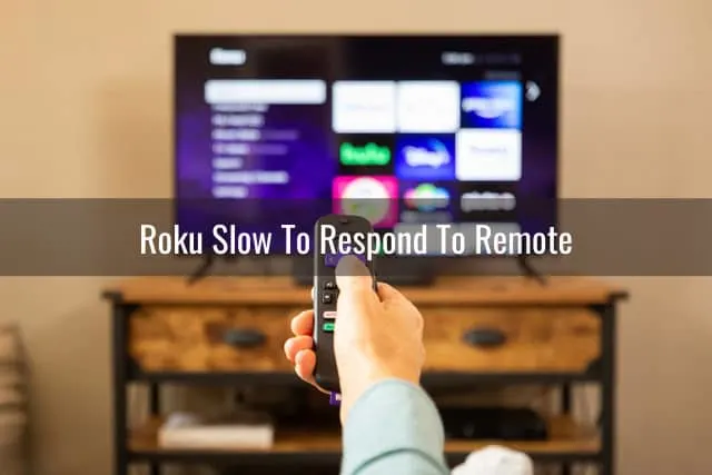 Holding a remote while pointing in the TV
