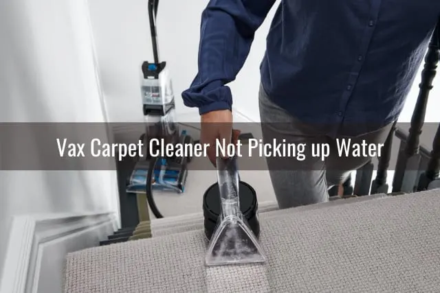 Cleaning the carpet using Vax