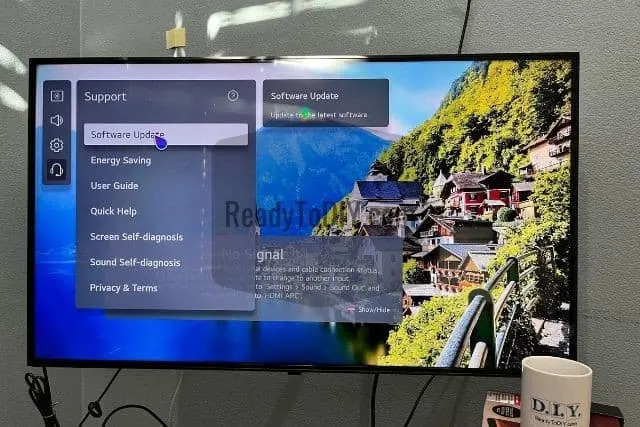LG TV Software Update Screen