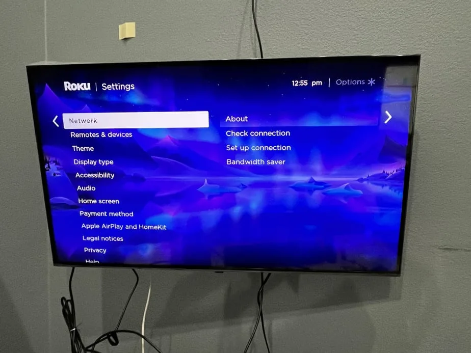 Roku Network Settings
