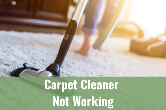 Woman cleaning the carpet