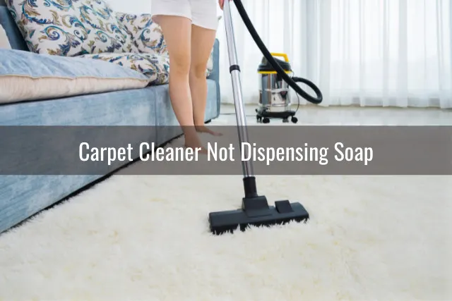 Woman cleaning the carpet