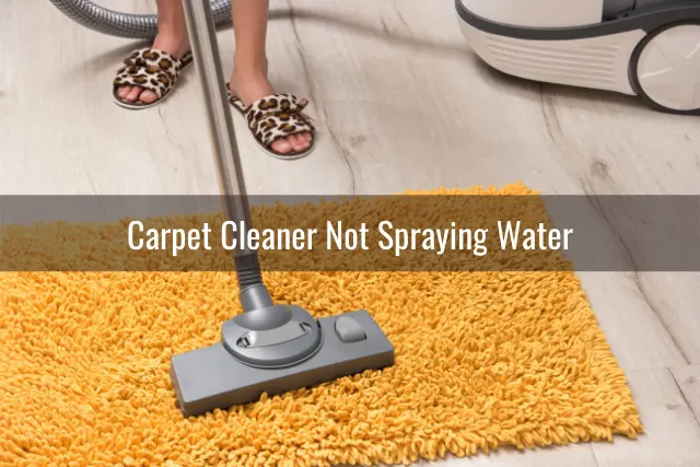 Woman cleaning the carpet