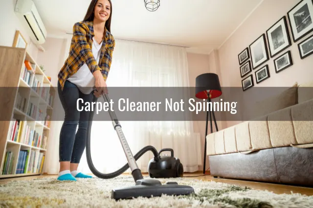 Woman cleaning the carpet