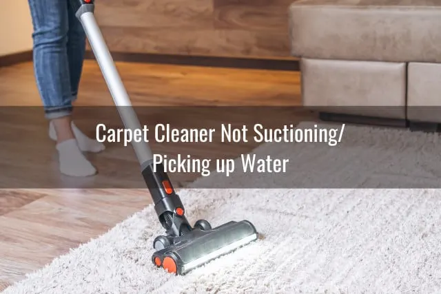 Woman cleaning the carpet