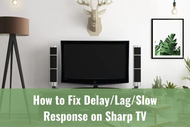 Flatscreen tv in the living room