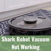 Black vacuum cleaning the floor