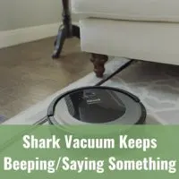 Black vacuum cleaning the floor