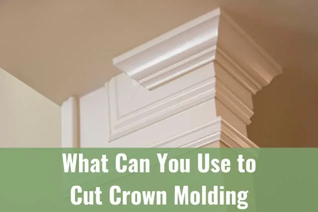 White crown molding on the wall