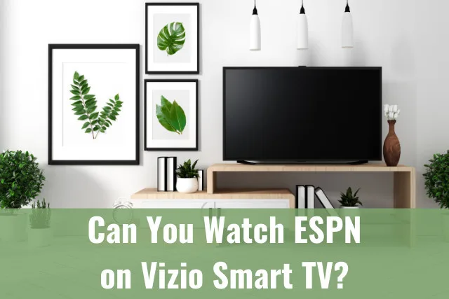 Flatscreen tv in the living room