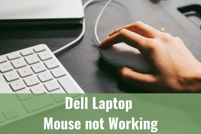 Dell Laptop Mouse not Working - Ready To DIY