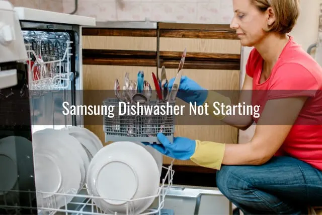 Woman checking the dishwasher