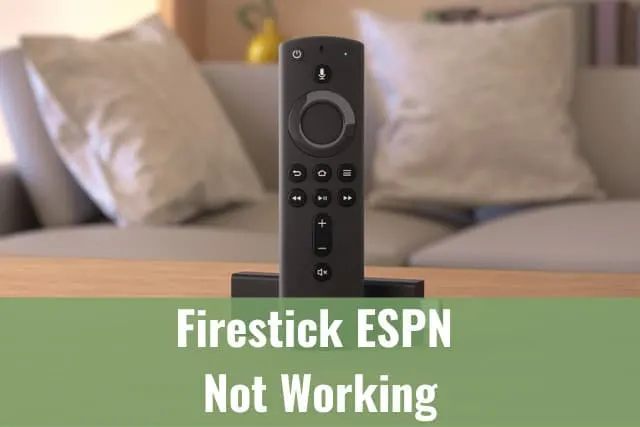 Black firestick on the table