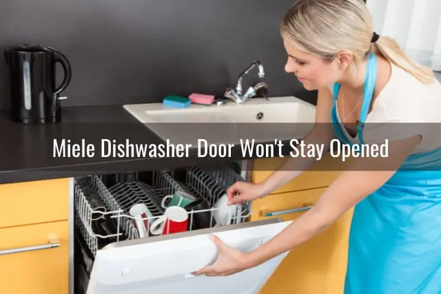 Woman putting plates in the dishwasher