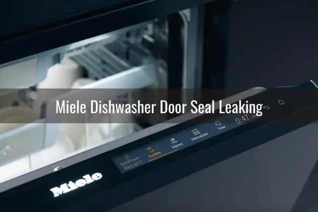 Modern dishwasher in the kitchen