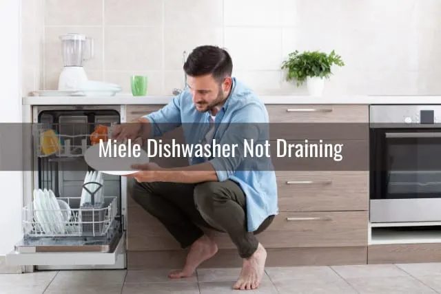 Man putting plates in the dishwasher