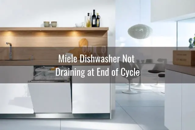 Modern dishwasher in the kitchen