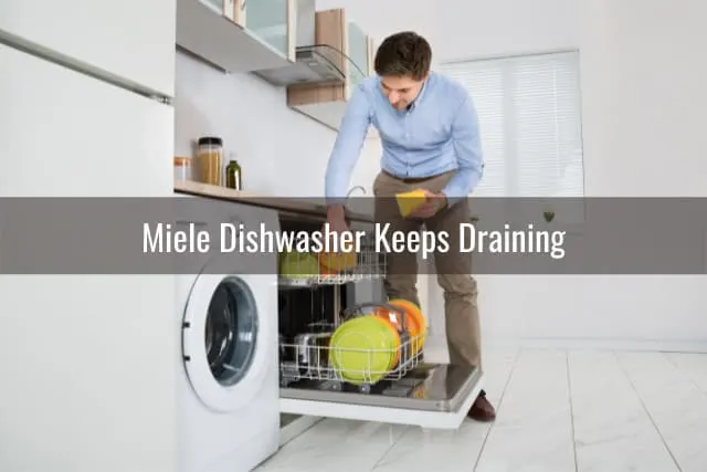 Man putting plates in the dishwasher