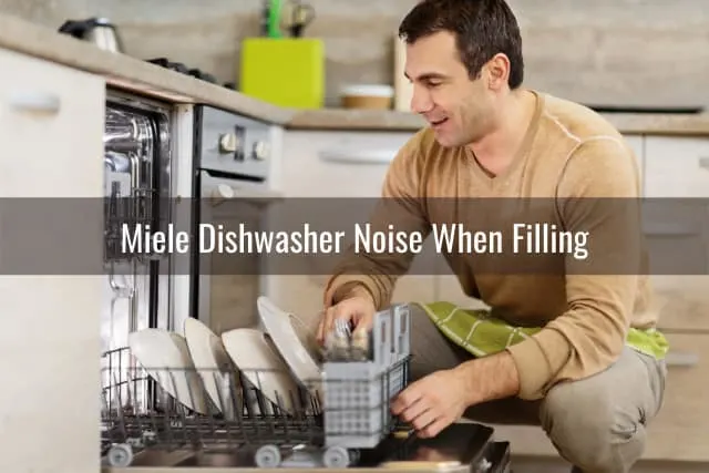 Man putting plates in the dishwasher