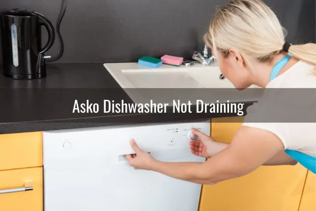 White dishwasher in the kitchen