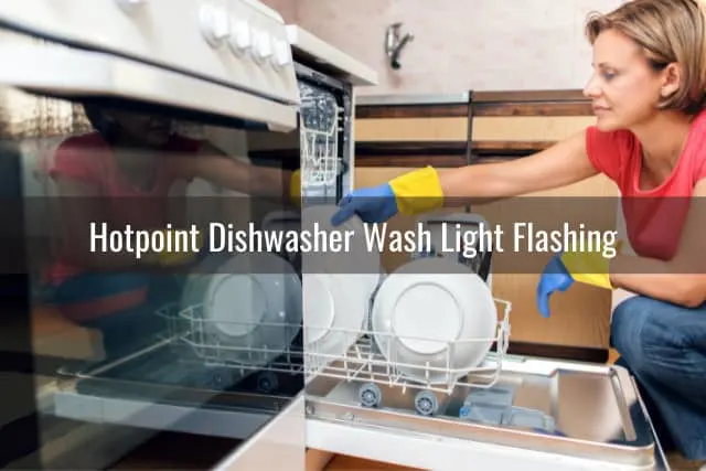 Putting plates in the diswasher