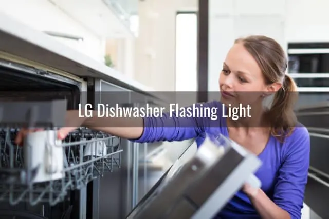 Modern dishwasher in the kitchen