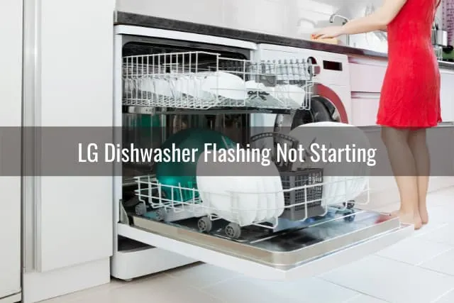 Modern dishwasher in the kitchen