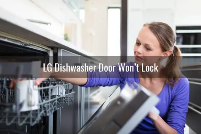Modern dishwasher in the kitchen