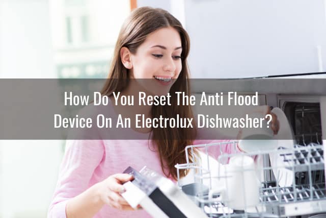 How To Reset Electrolux Dishwasher? - Ready To DIY