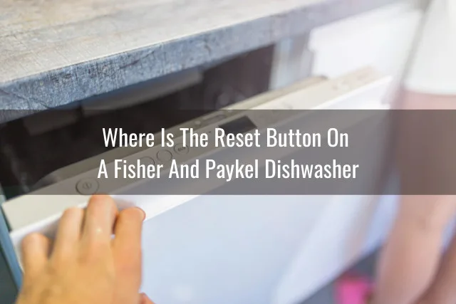 White dishwasher in the kitchen