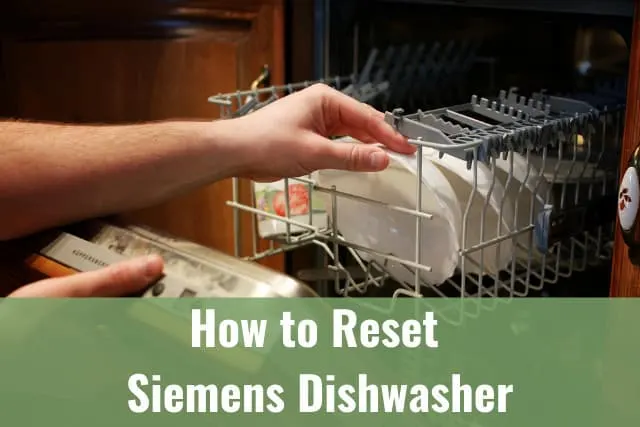 Putting plates in the diswasher