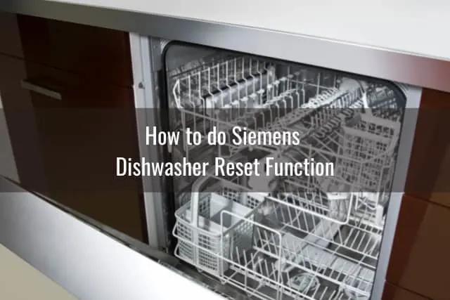 Putting plates in the diswasher