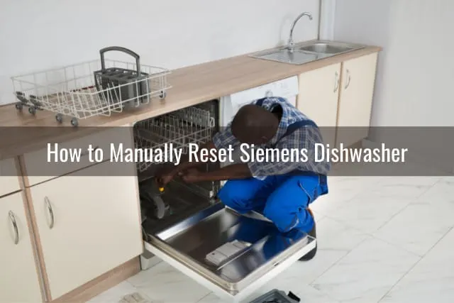 Plates on the dishwasher