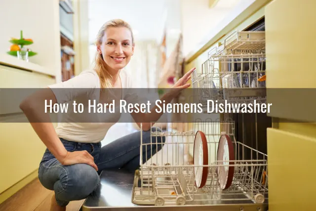Putting plates in the diswasher