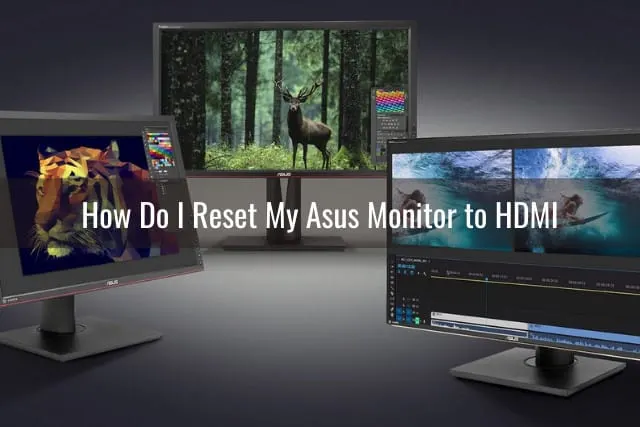 Using black monitor