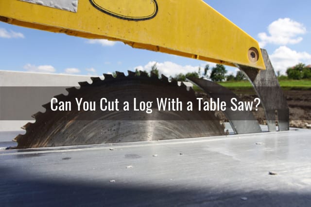 What Can You Use to Cut a Log? (How To) - Ready To DIY