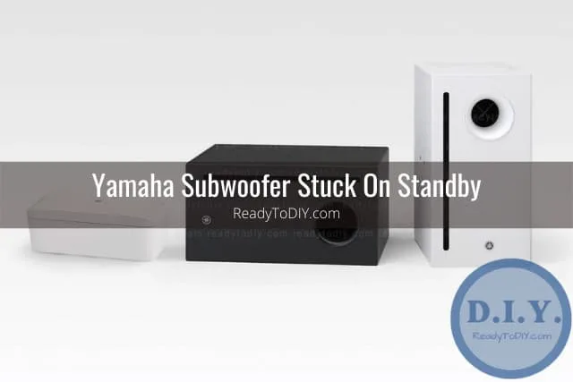 Black and white subwoofer